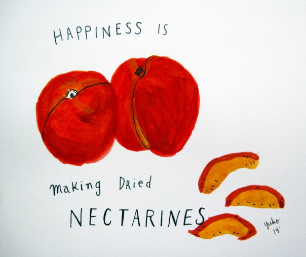 Happiness is making dried nectarines.  It smells so good!