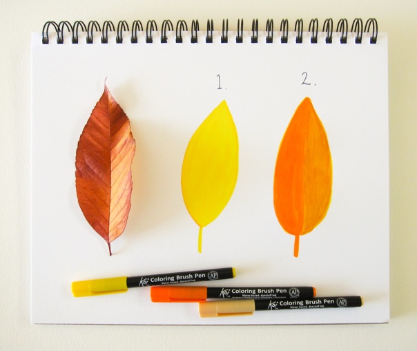 Example of layering colors. I used Yellow to draw the first leaf and layered Orange in half and Woody Brown on the other half.